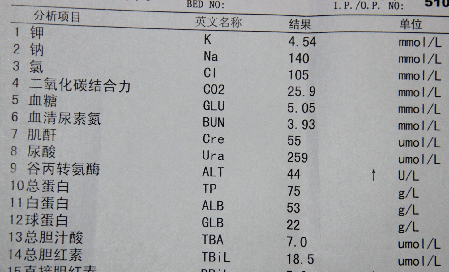 从感染过程 到新药研发方向 药学读懂乙肝 看点快报