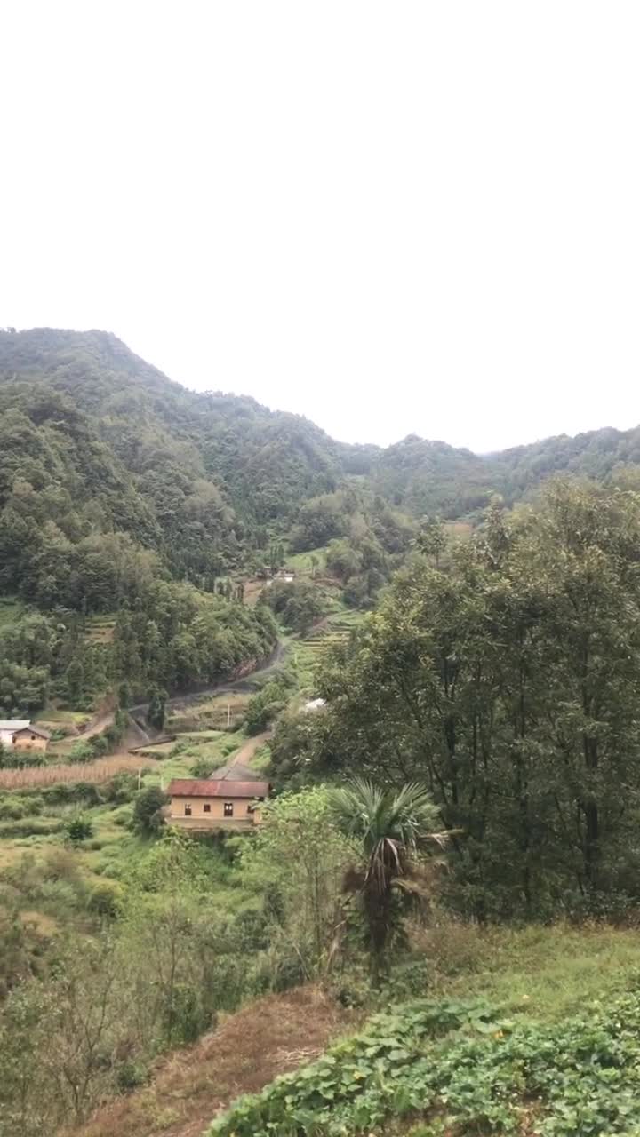 0?fmt=jpg&size=82&h=1280&w=720&ppv=1