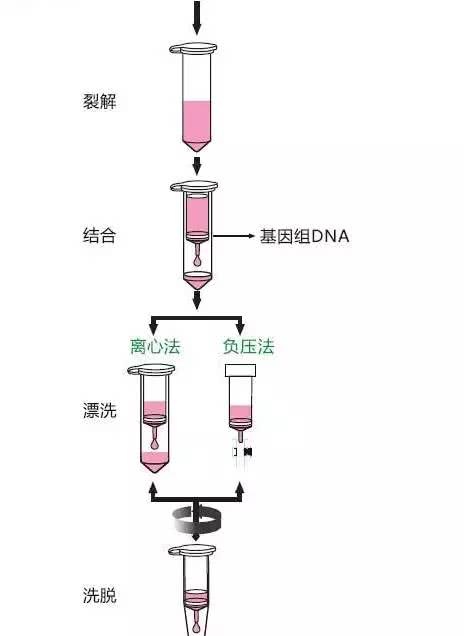 天天快报