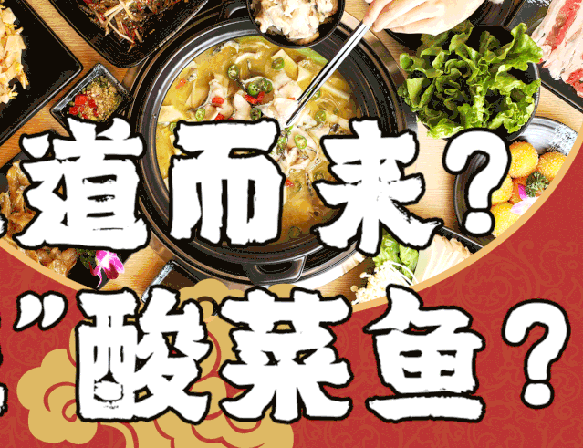 酸菜鱼,在节目中道出
