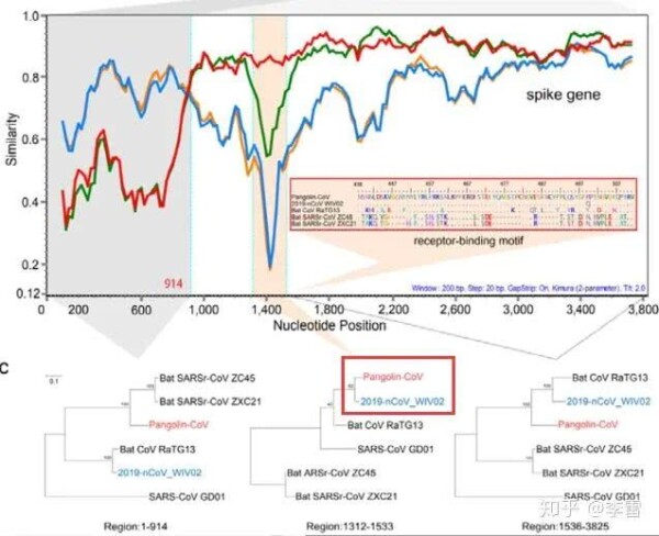 钟南山为什么说病毒源头不一定在中国？