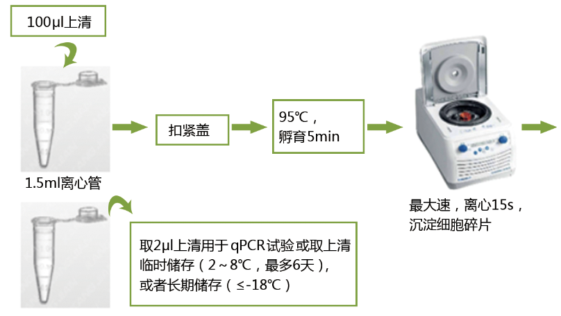 支原体荧光定量pcr检测试剂盒qpcr一步法操作详解 看点快报