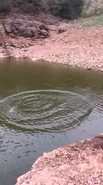 梦境奇观，探索梦到好大一条鱼从水里跳出来的深层含义