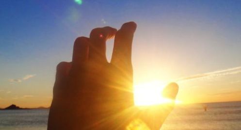 夏天到了 白白们该如何应对太阳 看点快报