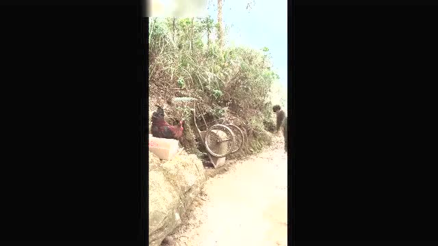 过年行李恶搞视频，过年行李恶搞视频大全