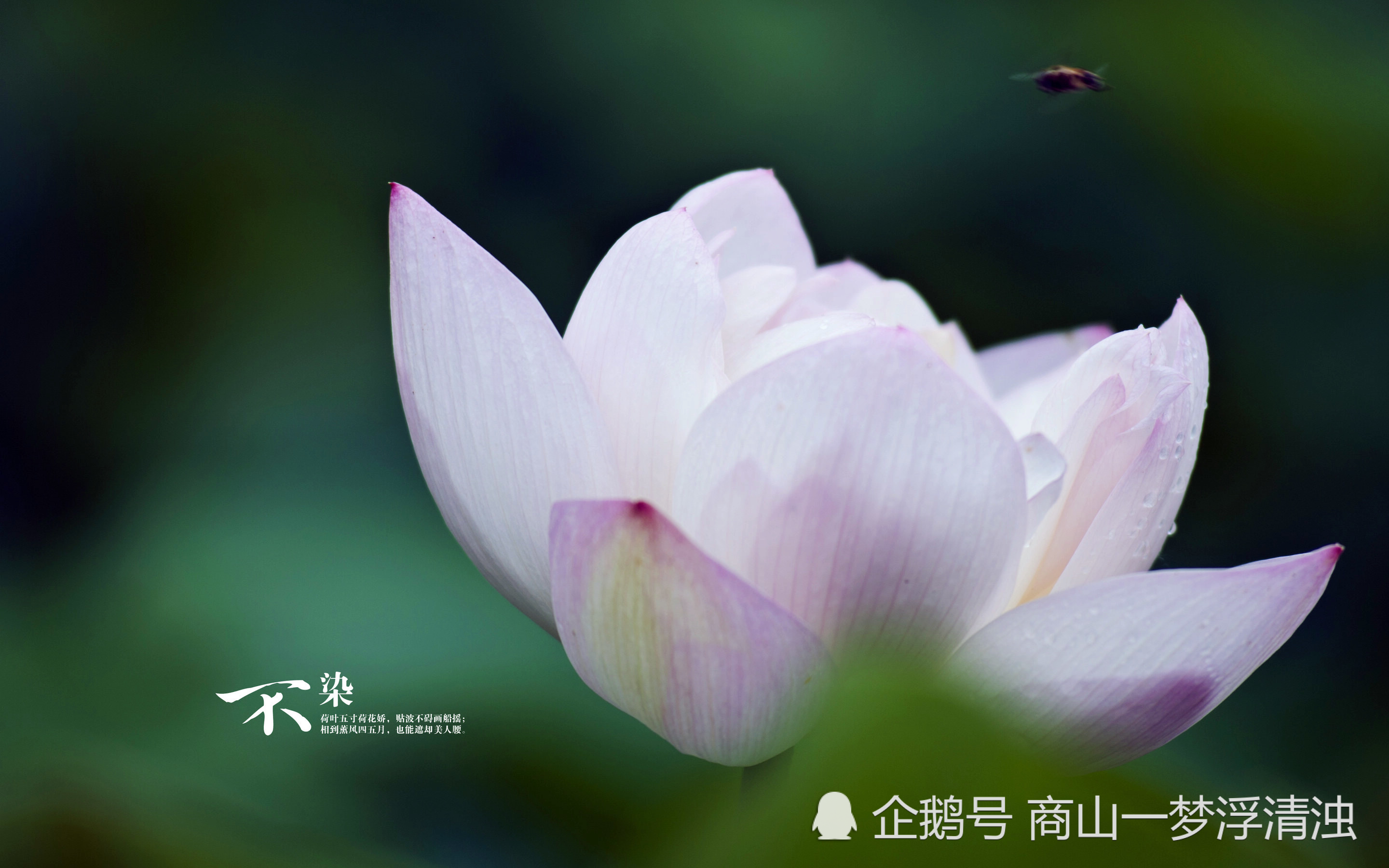 人生最大的财富是什么 看点快报