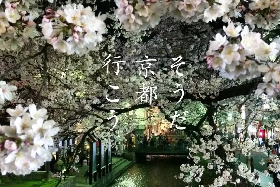 三言两语聊京都 看点快报