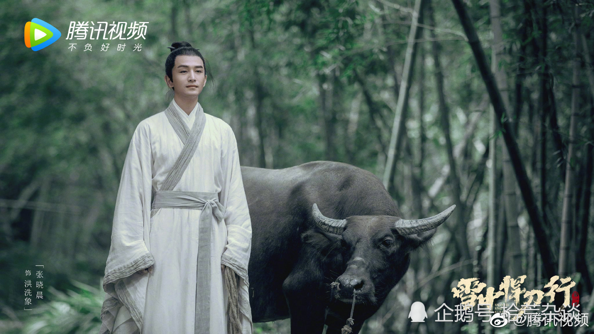 洪洗象——张晓晨