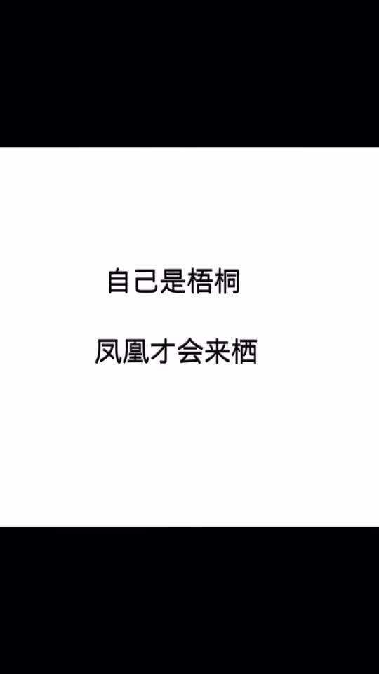 0?fmt=jpg&size=15&h=960&w=540&ppv=1