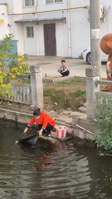 撒野