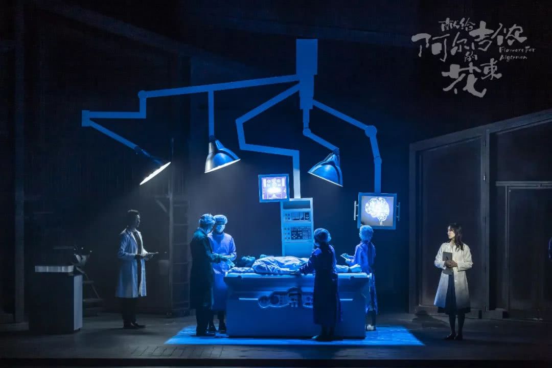 唐纳面包店今日开业 献给阿尔吉侬的花束 泪目上演 看点快报