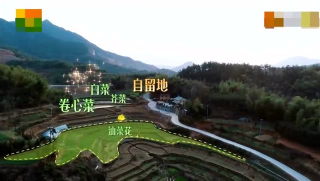 0?fmt=jpg&size=48&rs=36-34&h=362&w=640&ppv=1