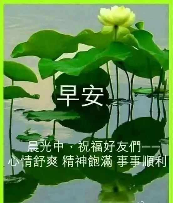 早上好图片大全 早上好的短句子 早安心语 祝福语问候