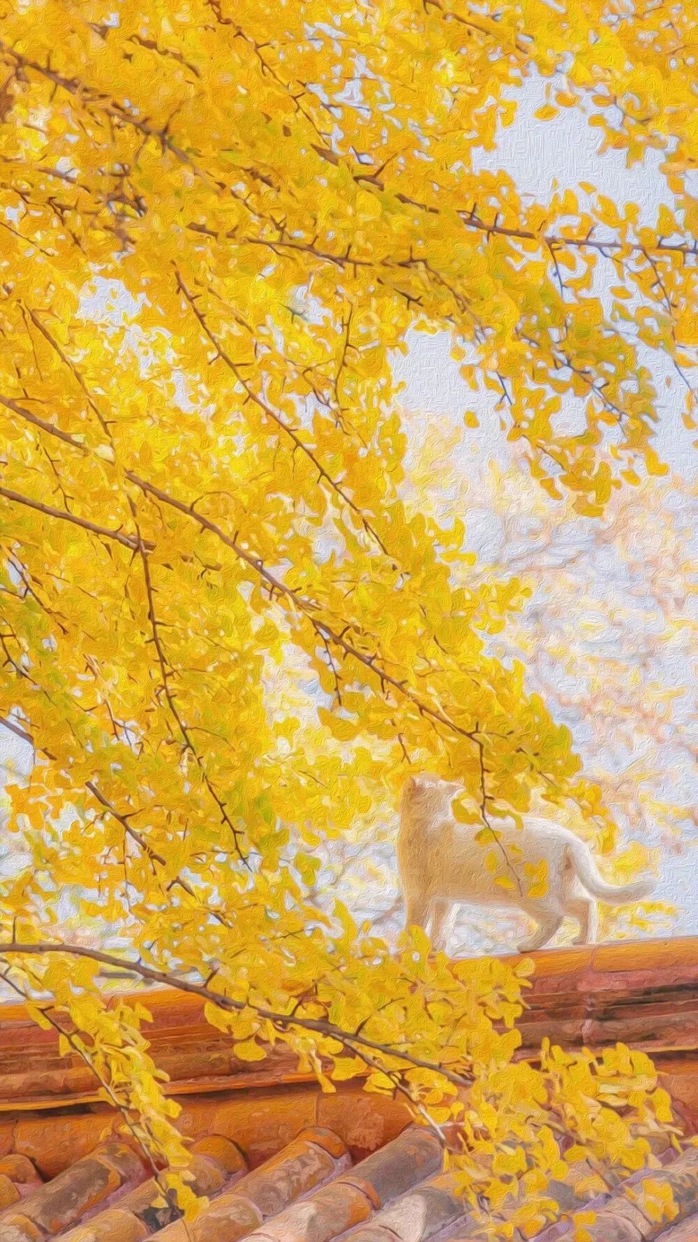 壁纸精选 治愈温暖适合秋天的壁纸 天天要闻