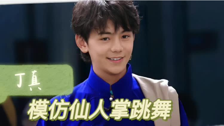 中餐厅5 丁真模仿魔性仙人掌跳舞