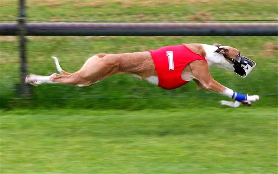 0?fmt=jpg&size=45&h=600&w=960&ppv=1