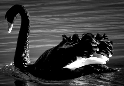 3.22英央行接棒美联储，黄金或看冲高回落!