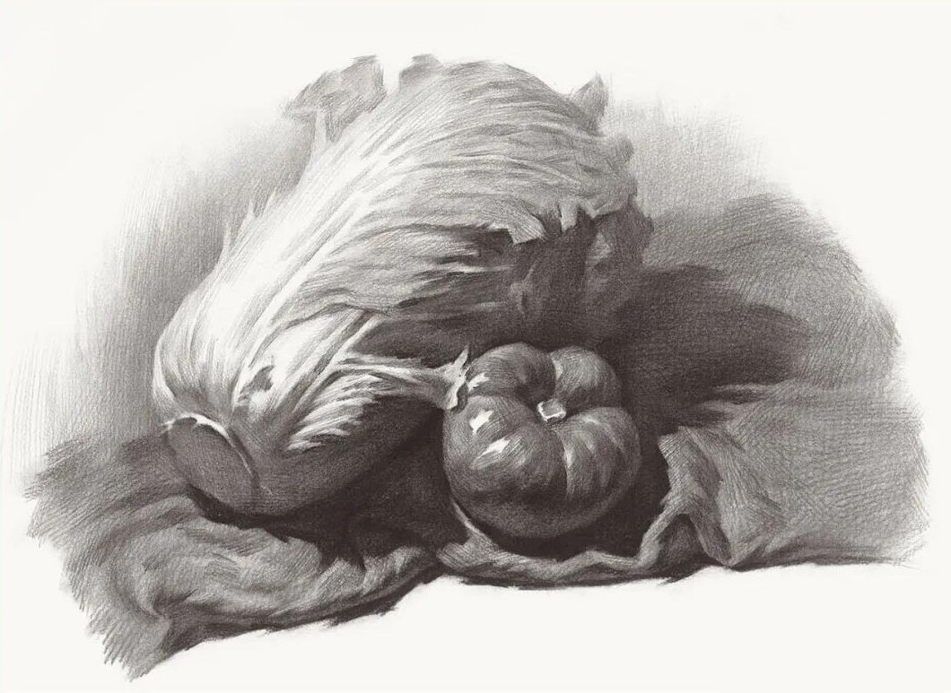 素描,静物,画画