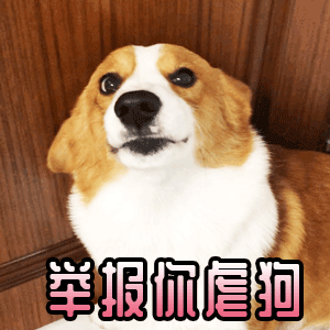 我终于结束了上半年的单身生活 开始下半年的单身生活 智者不入爱河