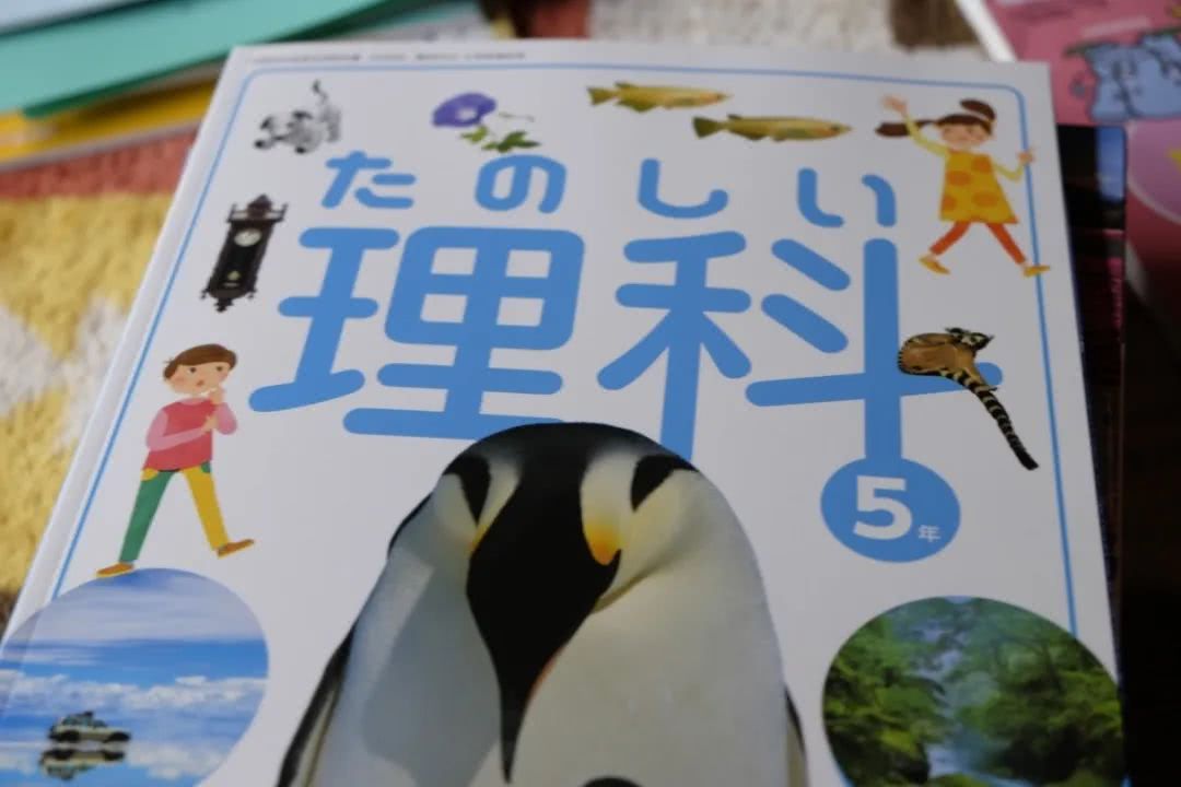 我在日本读小学 看看日本小学生的新课本里都学什么 看点快报