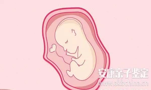 天天快报