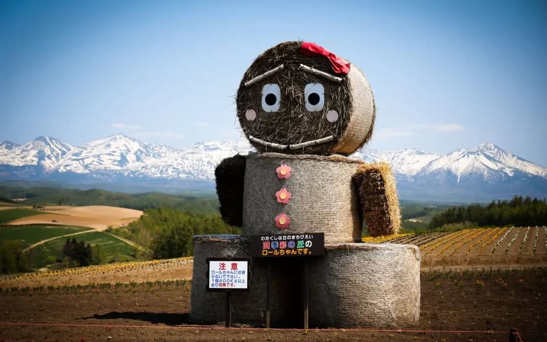 美到醉人的深秋景色在哪里 去一趟北海道你就知道了 看点快报