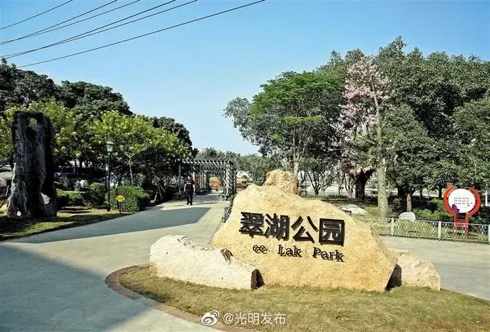 深圳地铁6号线,深圳北站,科学公园