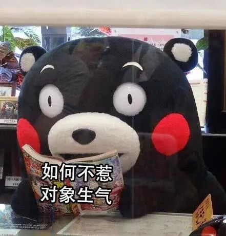 搞笑表情包:熊本熊看书表情包合集