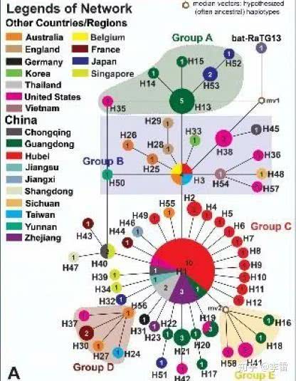 钟南山为什么说病毒源头不一定在中国？