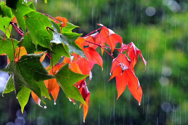 20171012203855_j8kji3vk76.png?v=1769803020799