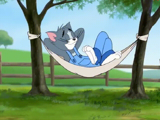 动漫,猫和老鼠,秀儿,二货