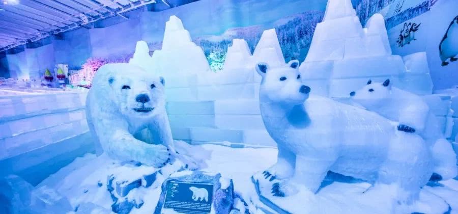 冰雪世界,冰雪,雪乡,过山车