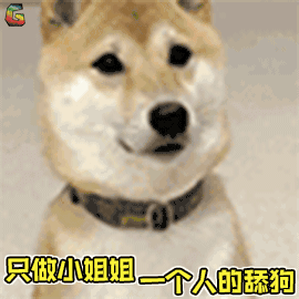 小狗狗好听话,嗯嗯嗯嗯.懂事的点点头 听话,只做小姐姐一个人的舔狗.