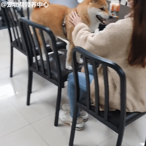 它眼睛眯成一条线,笑得合不拢嘴,这一脸超爽的表情,哪里还记得孤零零