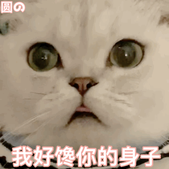 表情包:小可爱猫咪表情包