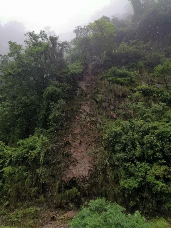 车截停了一辆刚驶出347国道猴子包隧道出口的两名路长的一声声嘶吼