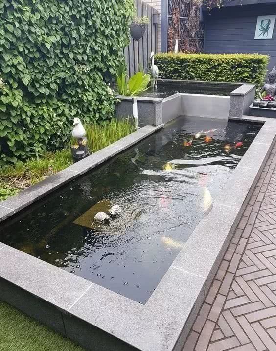 院子必须有个水池,冬暖夏凉,养鱼浇花