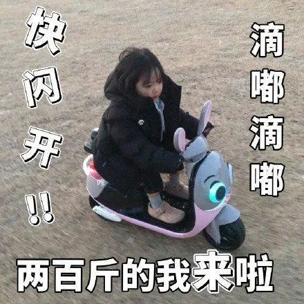 搞笑表情包:权律二表情包合集