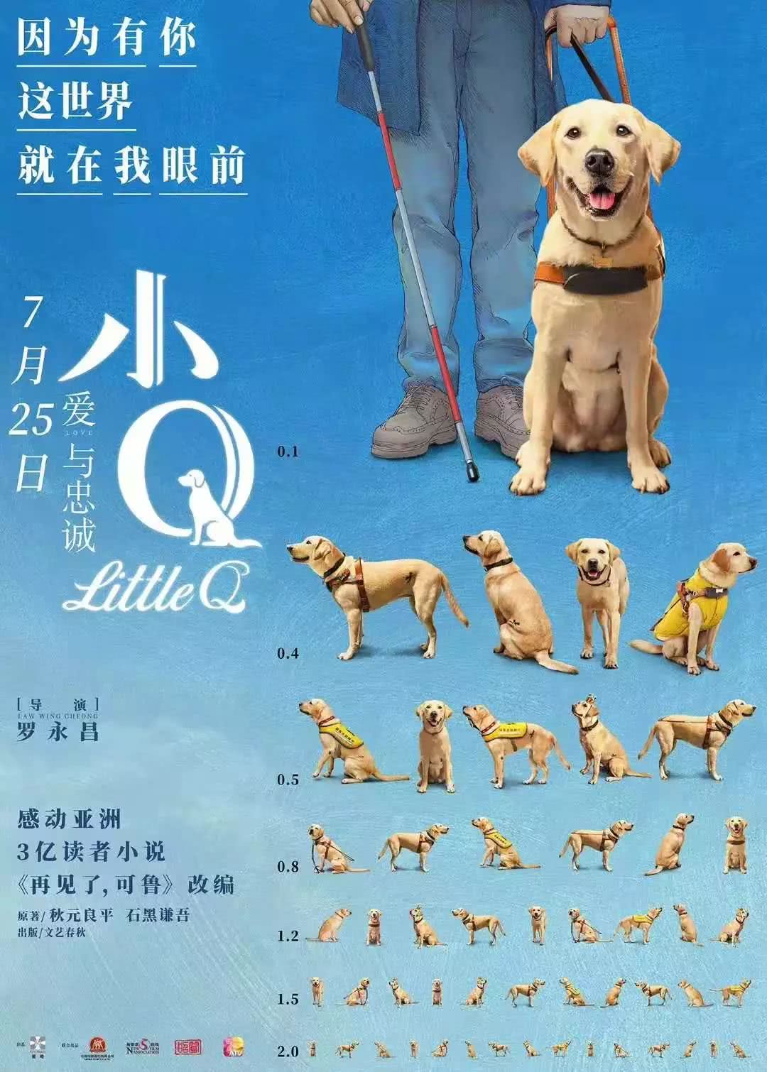 电影 小q 插曲温情公布 看导盲犬如何燃起主人精神世界的花火 看点快报