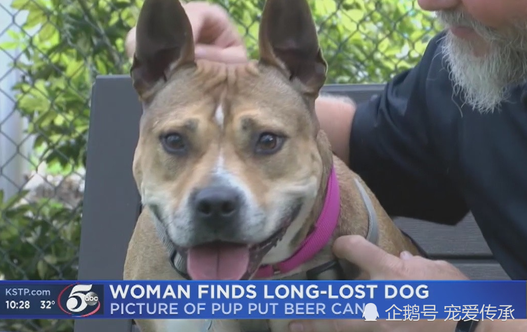 爱犬走失3年后 主人在啤酒罐上 看到爱犬头像 奇迹般的团聚 看点快报