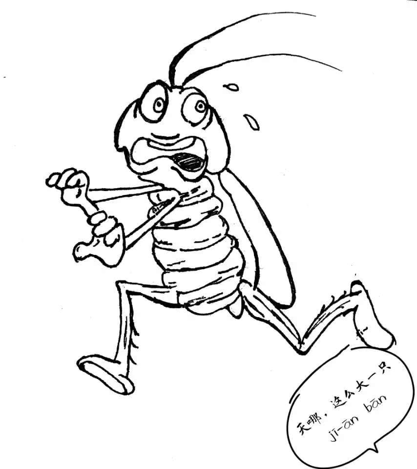 手绘 你所不知道的 迷惑方言大赏 看点快报