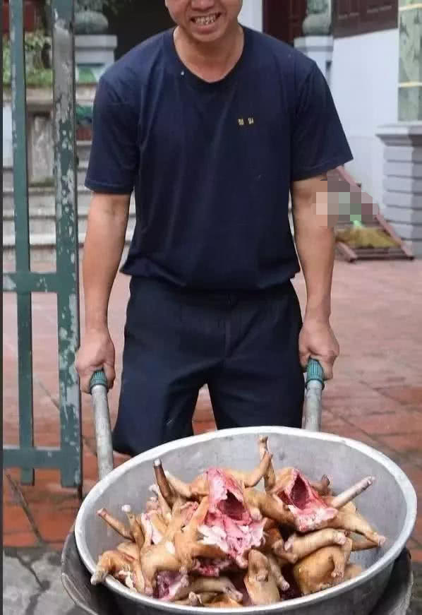 越南人疯狂吃猫肉 比 狗肉节 还残忍 已经成为当地民俗 看点快报