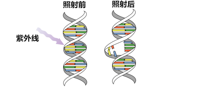 车企掀起 健康潮 上汽用技术杀毒是否靠谱 看点快报