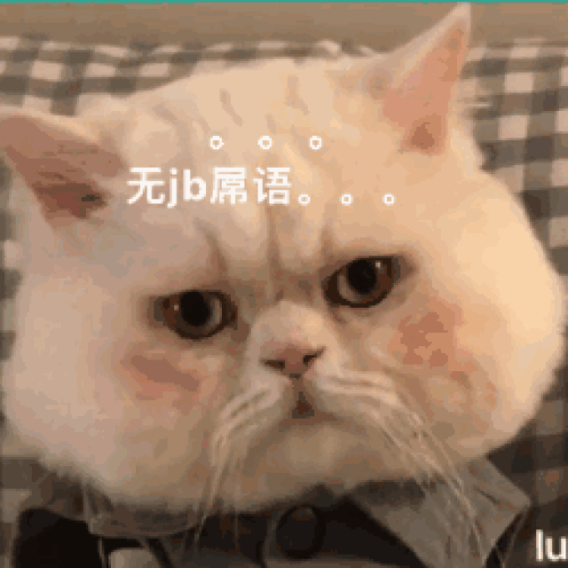 表情包 ok!