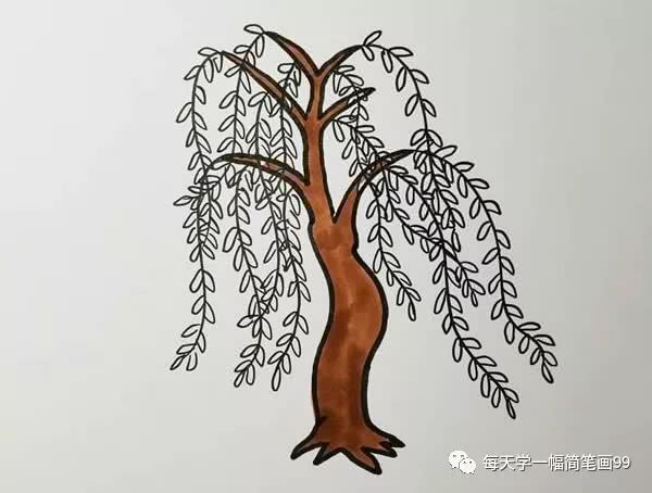 每天学一幅简笔画-柳树简笔画彩色画法步骤