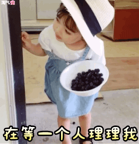 权律二阔爱动态表情包