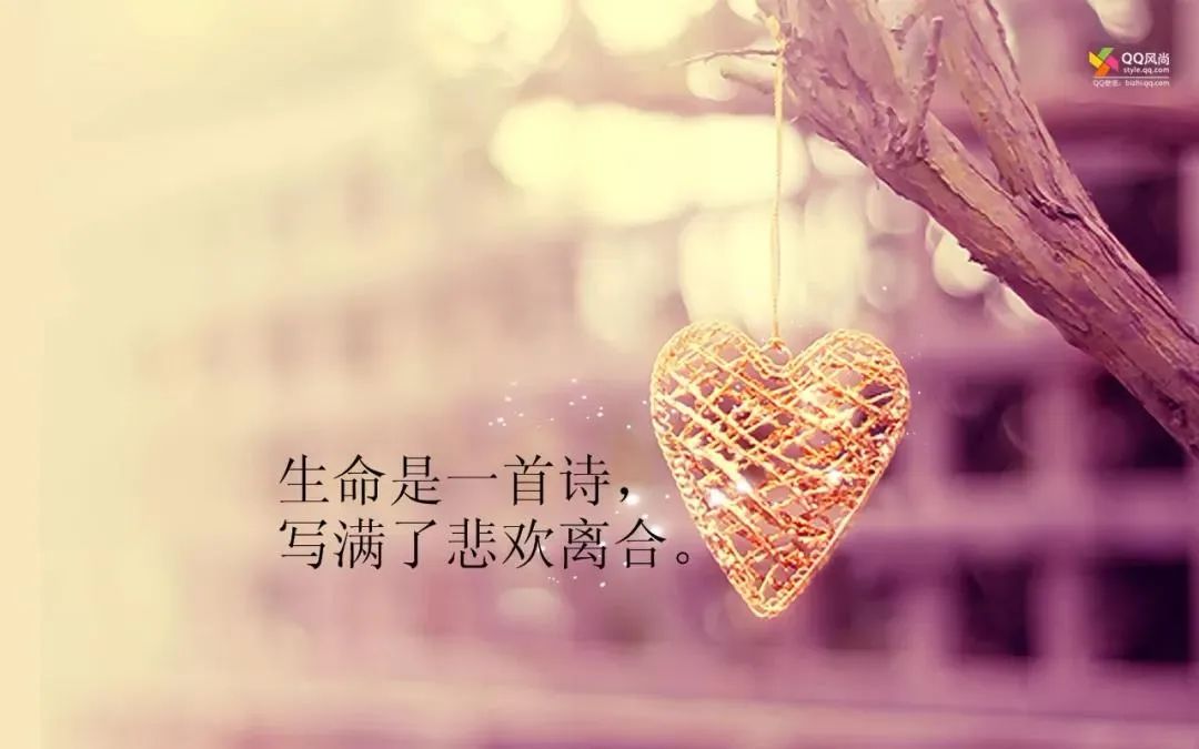 适合发朋友圈的人生哲理心情短语,触动人心的心灵说说