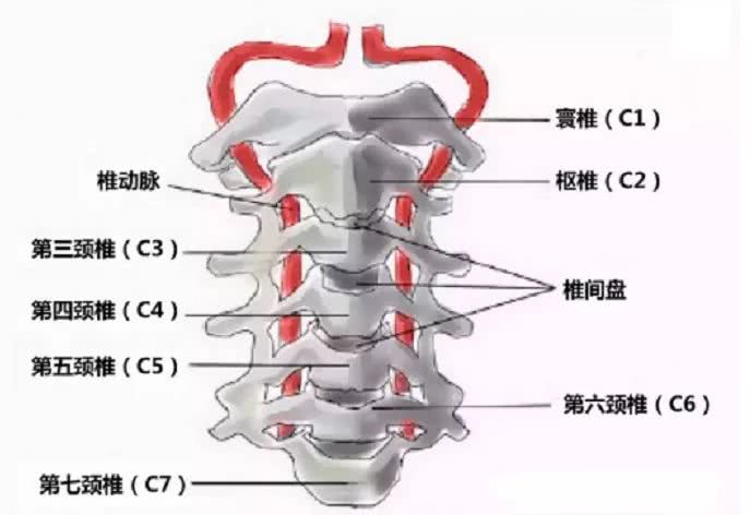 颈椎生病 全身不宁 一土方 脖子疼 头晕 手麻全消光 看点快报