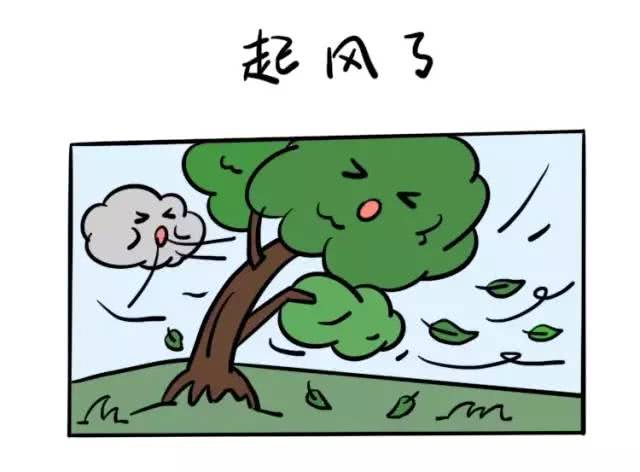 超实用的大风科普漫画来了!