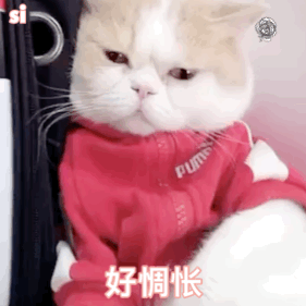 又一波斗图表情包